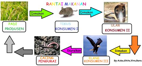 Rantai makanan #rantai makanan adalah peristiwa makan dan dimakan antara makhluk hidup dengan urutan tiap tingkat dari rantai makanan dalam suatu ekosistem disebut tingkat trofik. Contoh Rantai Makanan ~ AZKANF.BLOGSPOT.COM
