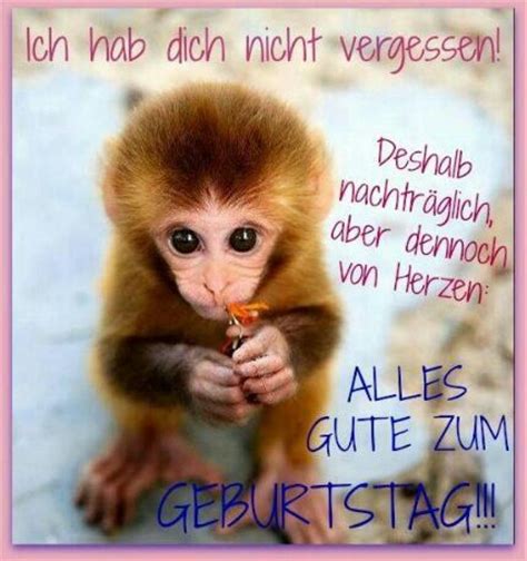 Es sitzt mir wie ein kloß und sich jetzt lustig. Nachträgliche Geburtstagswünsche | geburtstagsglückwünsche ...
