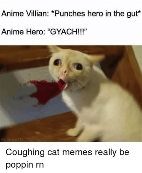 Story Of The Coughing Cat 10 Funny Coughing Cat Images And Memes
