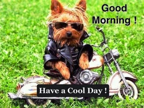 50 Funny Good Morning Wishes