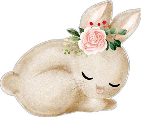 Baby Bunny Clipart Pink Watercolor Rabbit Png Free Etsy In 2024