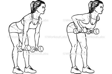 standing two armed bent over dumbbell rows workoutlabs exercise guide