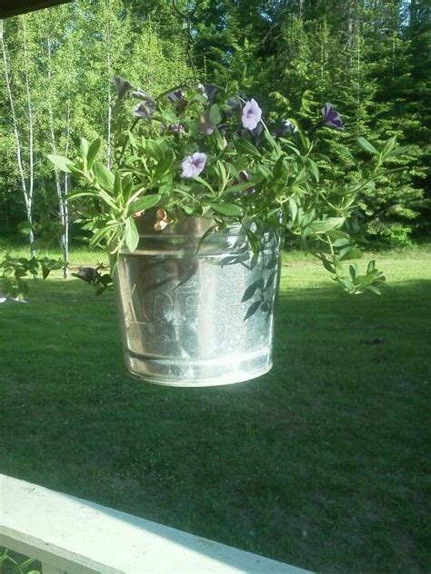 This article provides a brief rundown on preparing a. I made these hanging baskets out of ace buckets by ...