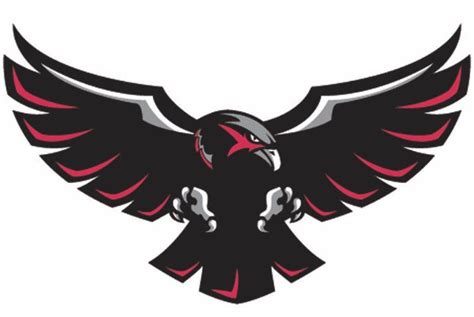Black Hawk Bird Logo Logodix