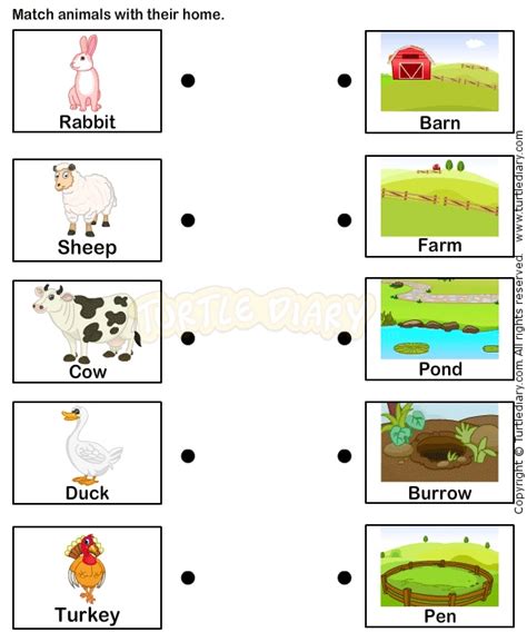 Pin by Shelley Luetkemeyer on VPK Teacher Stuff | Animals and their