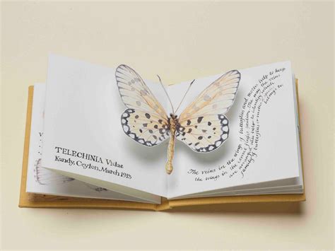 Limited Edition Handmade Pop Up Butterfly Book Butterfly Books