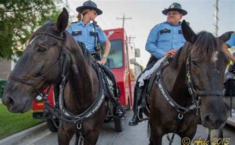 Houston Mounted Patrol Mounted Police Uk