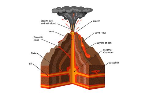 Vector Infographic Illustration Cross Section Of Volcano By Onyx
