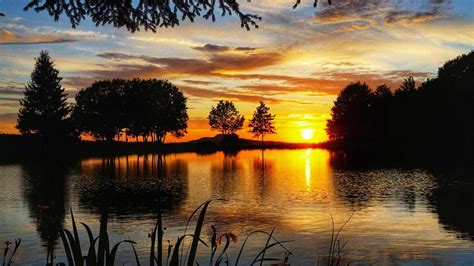 Egal ob sie sich für notebooks, pcs, navis oder software interessieren. Bild des Tages: Sonnenuntergang am Fischteich | Fulda