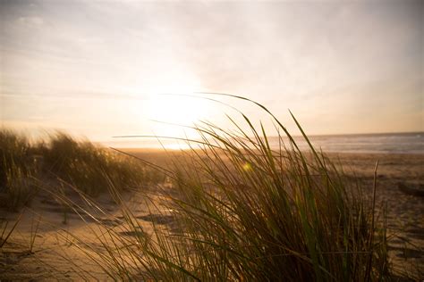 Landscape Photography Of Beach · Free Stock Photo