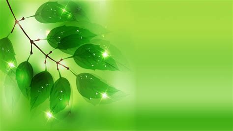 The Best 15 Beautiful Green Background Images Hd Wallpapers