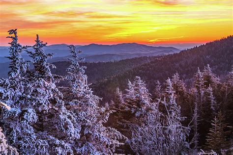 Snowy Trees At Sunset In Smoky Mountains Photograph By Carol Mellema