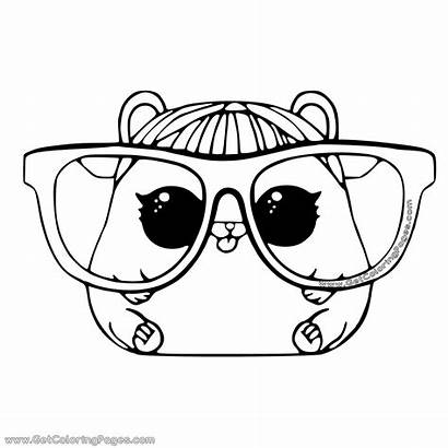 Lol Coloring Pages Pet Colouring Hamster Pets