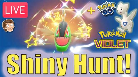 Hunting All Shiny Pokemon In Pokemon Violet Togetic Community Day In