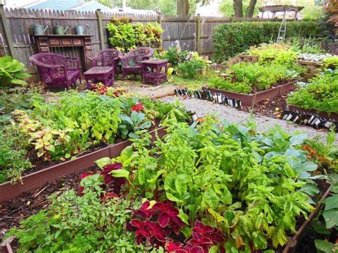 25 Edible Shade Garden Ideas To Consider Sharonsable
