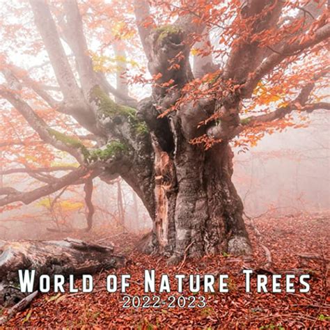 Buy World Of Nature Trees 2022 Calendar Magnificent Trees T Idea