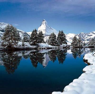 Giacimento di fiori giallo, bello paesaggio dello svizzero. Svizzera, neve e folklore