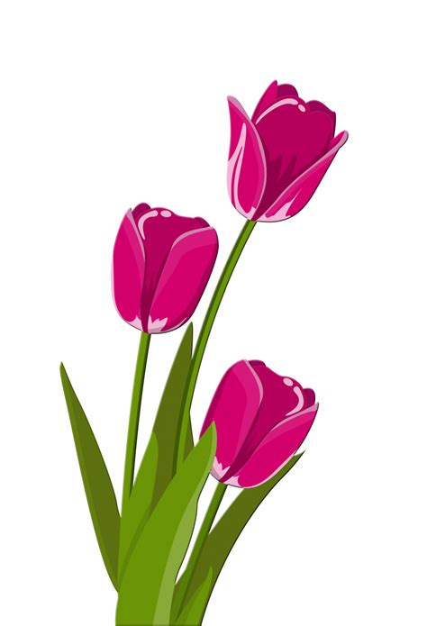 clipart tulips 10 free Cliparts | Download images on Clipground 2021