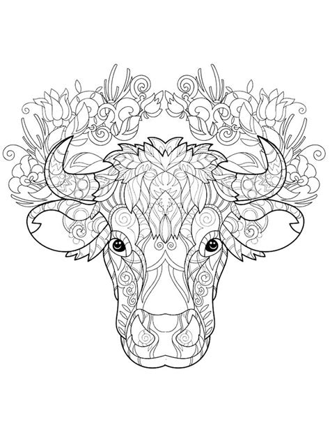 36+ awesome pics Adult Coloring Pages Cows / Adult Coloring Bookpage A Cute Calf Image Vector