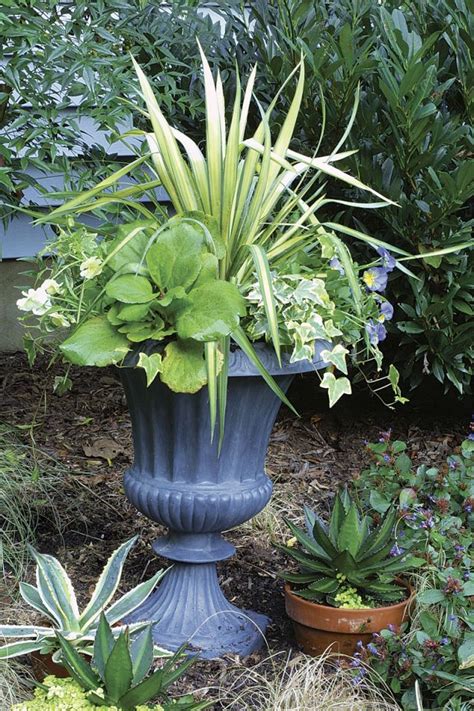 I'll sort of move them around until i settle on their permanent summer friends. Best Container Plants For Full Sun Ideas - GARDENIDEAZ.COM