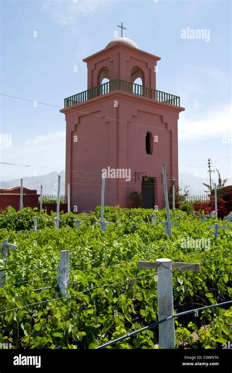 Peru Ica Department Tacama Vineyards Stock Photo Alamy