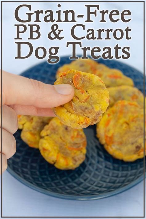 Check spelling or type a new query. Grain-Free Peanut Butter Carrot Dog Treats - The Harvest ...