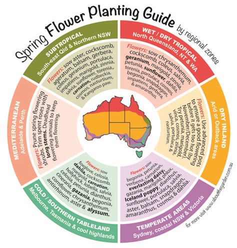 We're the best choice when shopping online for gifts and flowers just because, or for special occasions like mother's day or valentine's day. What to grow now | Australia Zones | About The Garden ...