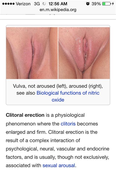 Clit Erection O Photos And Other Amusements Comments