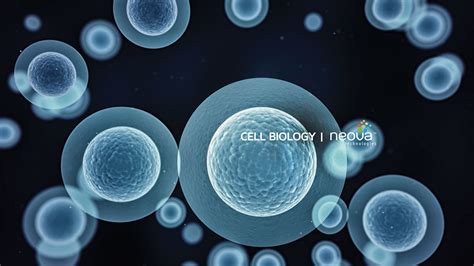 Cell Biology Wallpaper 62 Images
