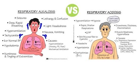 Acidosis As Related To Respiratory Respiratory Acidosis Respiratory Alkalosis Acidosis