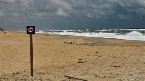 Cape Hatteras National Seashore Off Road Driving Bringing You