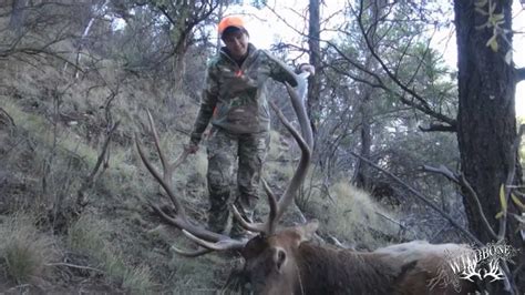 Hunting Colorado Elk On Public Land Doovi