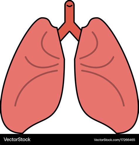 Lungs Cartoon Icon Image Royalty Free Vector Image