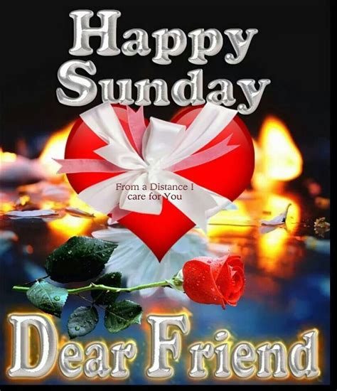 Happy Sunday Happy Sunday Quotes Sunday Wishes Happy Sunday