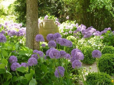 Maybe you would like to learn more about one of these? 146 best images about Flowers for Florida Garden on Pinterest
