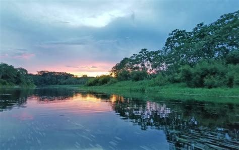 Adventures On The Amazon Amazon River Cruise