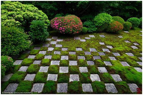 Azalea Blooming On Pixelated Moss Garden Tofuku Ji Temple Kyoto Japan