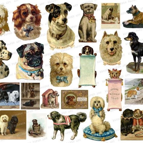 Vintage Dogs Collage Sheet Digital Dogs Ephemera Printable Etsy