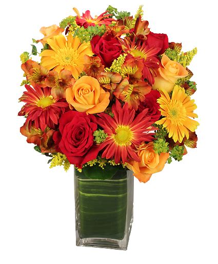 Flowers bentonville arkansas usa northwest arkansas florist incorporated garden city, inc flowerama flowers bakery absolutely flowers bentonville falcon farms. Colorful Canvas Arrangement in Bentonville, AR - MATKINS ...