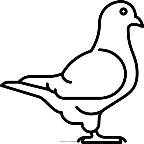 Dibujo De Paloma Para Colorear - Ultra Coloring Pages