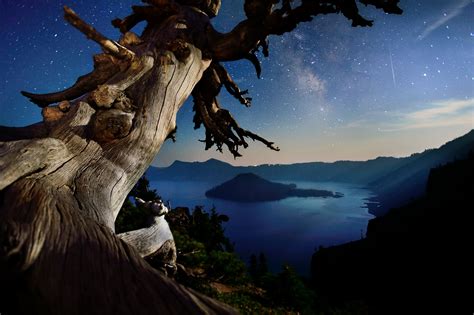 Starry Night Over Crater Lake Oregon Pics