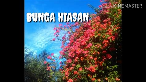 BUNGA HIASAN - LAGU TEMA TANAMAN UNTUK PAUD | LAGU PAUD TEMA TANAMAN