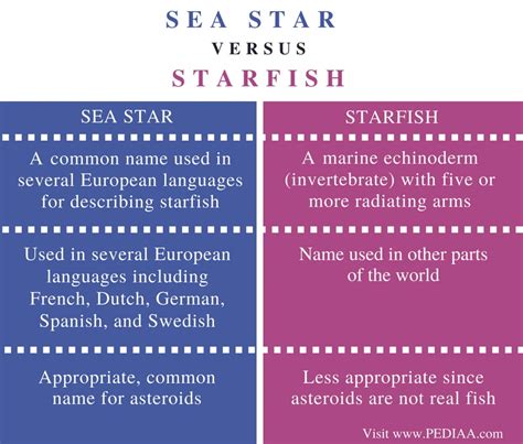 Difference Between Sea Star And Starfish Pediaacom