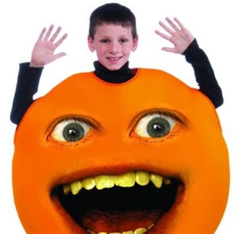 Rubies Costumes The Annoying Orange Child Halloween Costume Poshmark