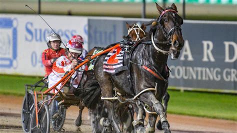 Harness Racing Young Guns Set For Red Hot Breeders Crown Heat