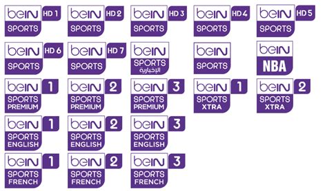 Bein Premium Package Renew And New Subscription For Sports And Movies