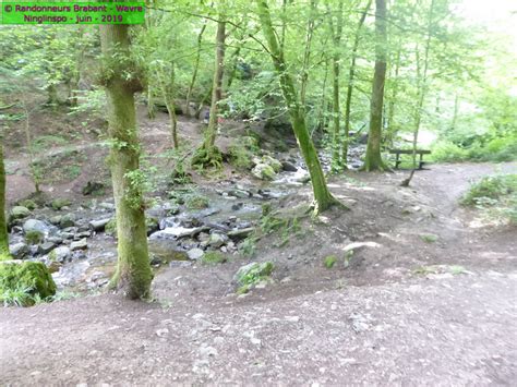 La randonnée est une activité physique idéale pour se maintenir en forme, pour s'aérer l'esprit et se déstresser , pour partager avec des amis. RBW_19_Ninglinspo - Diaporama de nos Randonnées pédestres ...