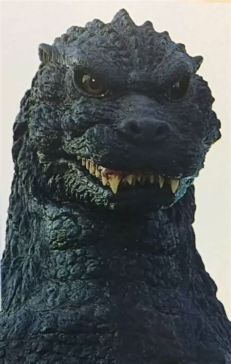 Face Illustration Godzilla Classic Monsters He King Face Vs Close