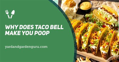 Why Does Taco Bell Make You Poop