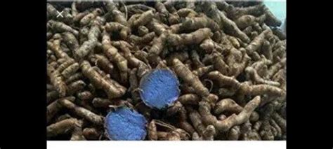 Kali Haldi Original Roots Hand Picked Black Turmeric Curcuma Caesia